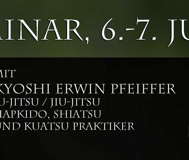 Seminar mit Kyoshi Erwin Pfeiffer 06. und 07.07.2024